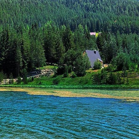Zminica Lake House Žabljak Dış mekan fotoğraf