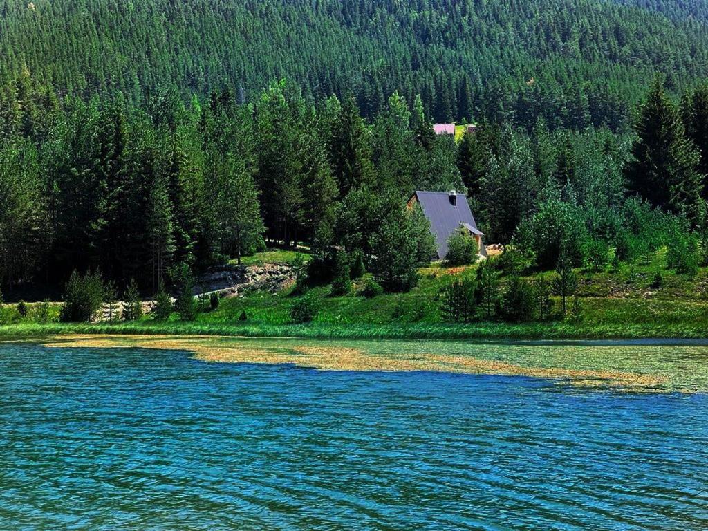 Zminica Lake House Žabljak Dış mekan fotoğraf