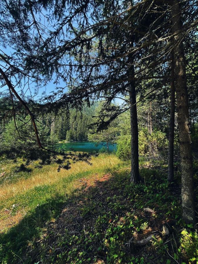 Zminica Lake House Žabljak Dış mekan fotoğraf