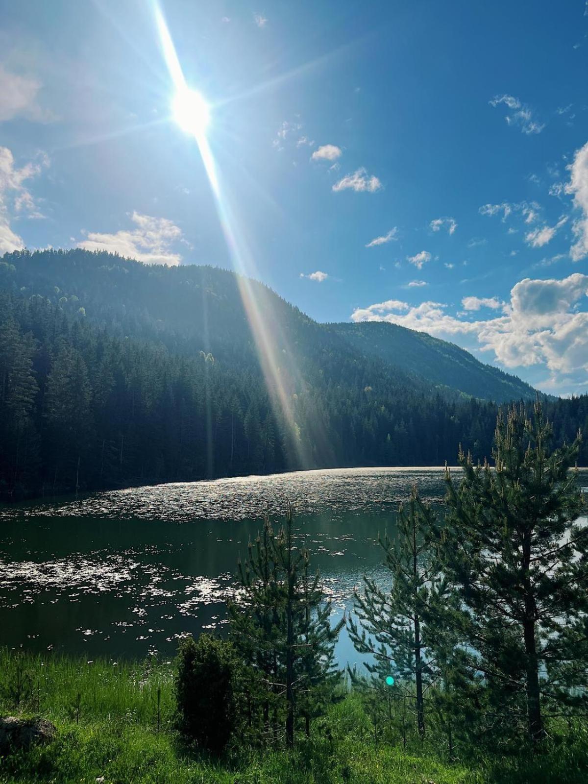 Zminica Lake House Žabljak Dış mekan fotoğraf