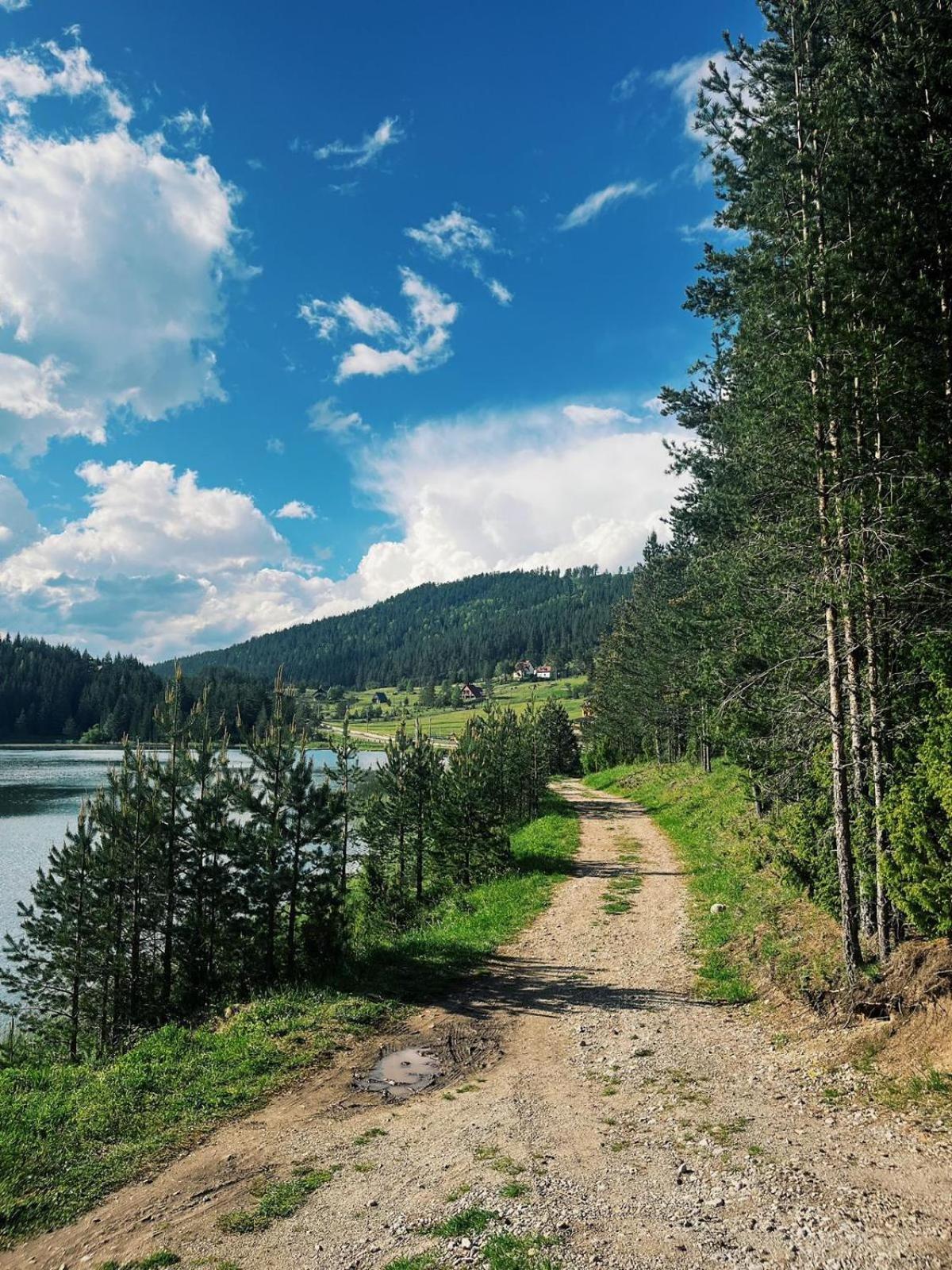 Zminica Lake House Žabljak Dış mekan fotoğraf
