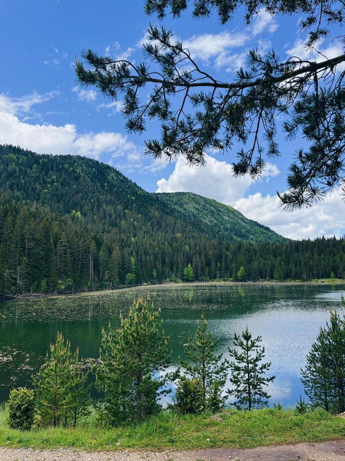 Zminica Lake House Žabljak Dış mekan fotoğraf