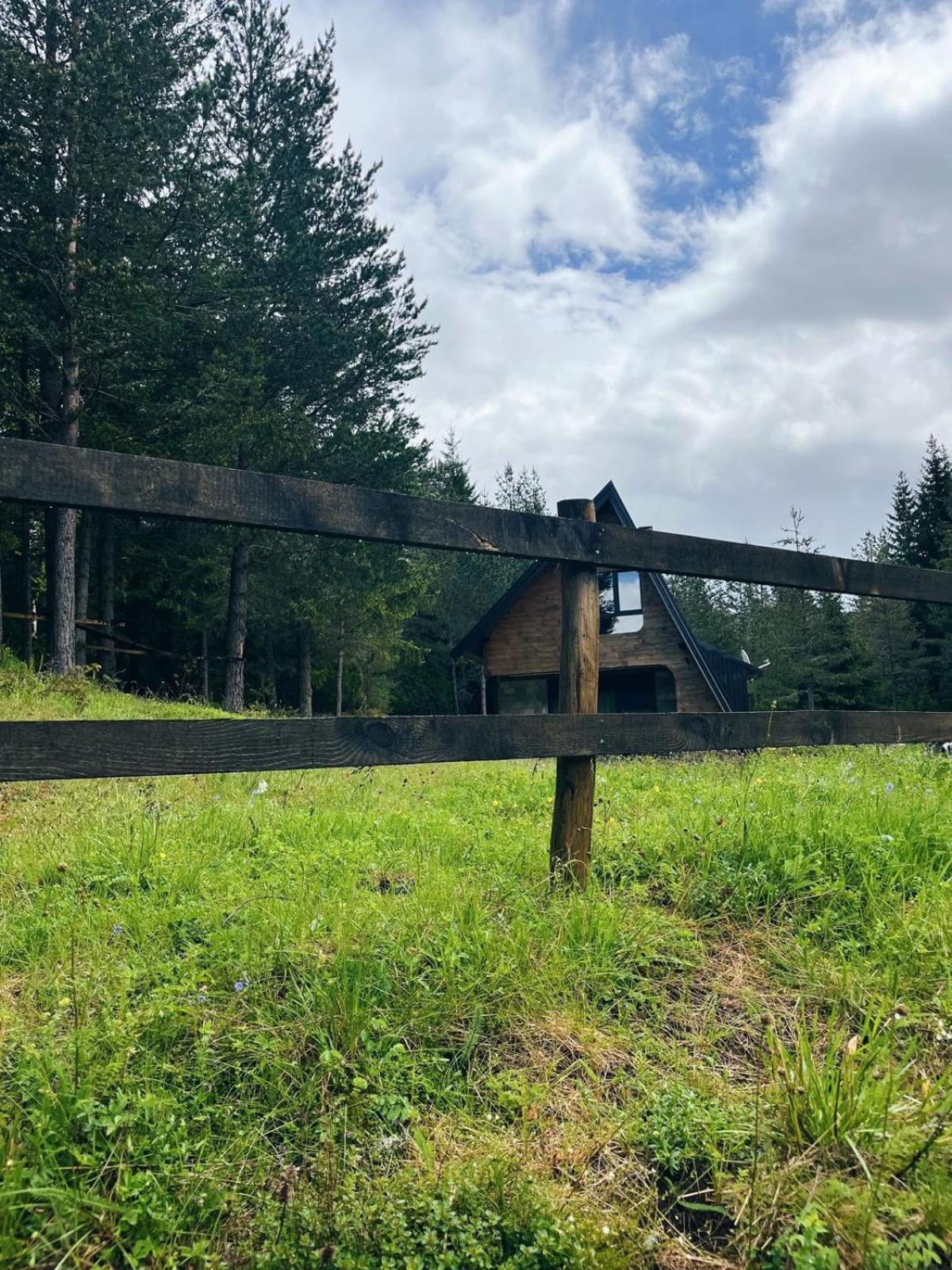 Zminica Lake House Žabljak Dış mekan fotoğraf